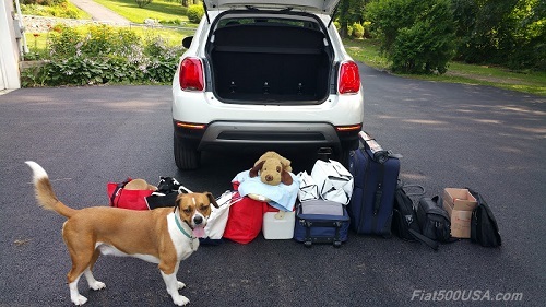 Fiat 500 top dog in boot